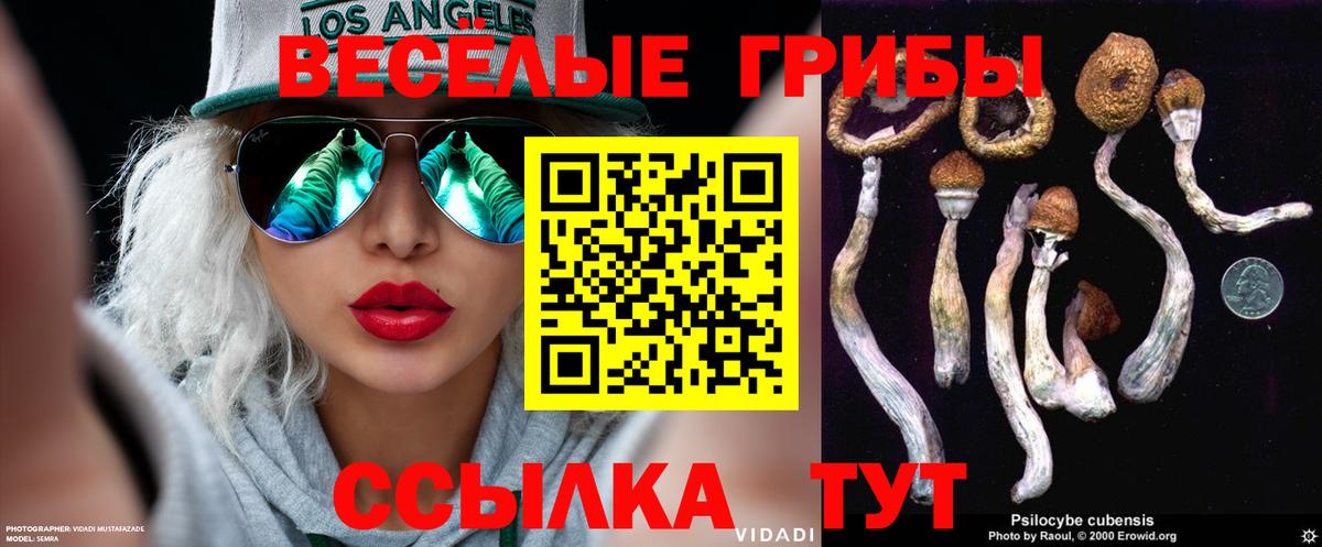 Галлюциногенные грибы GOLDEN TEACHER  Вход с VPN  купить наркотики цена  Южноуральск 